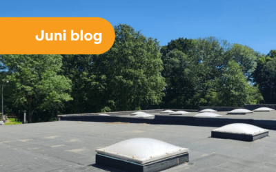 Juni: Zon voor Duffel